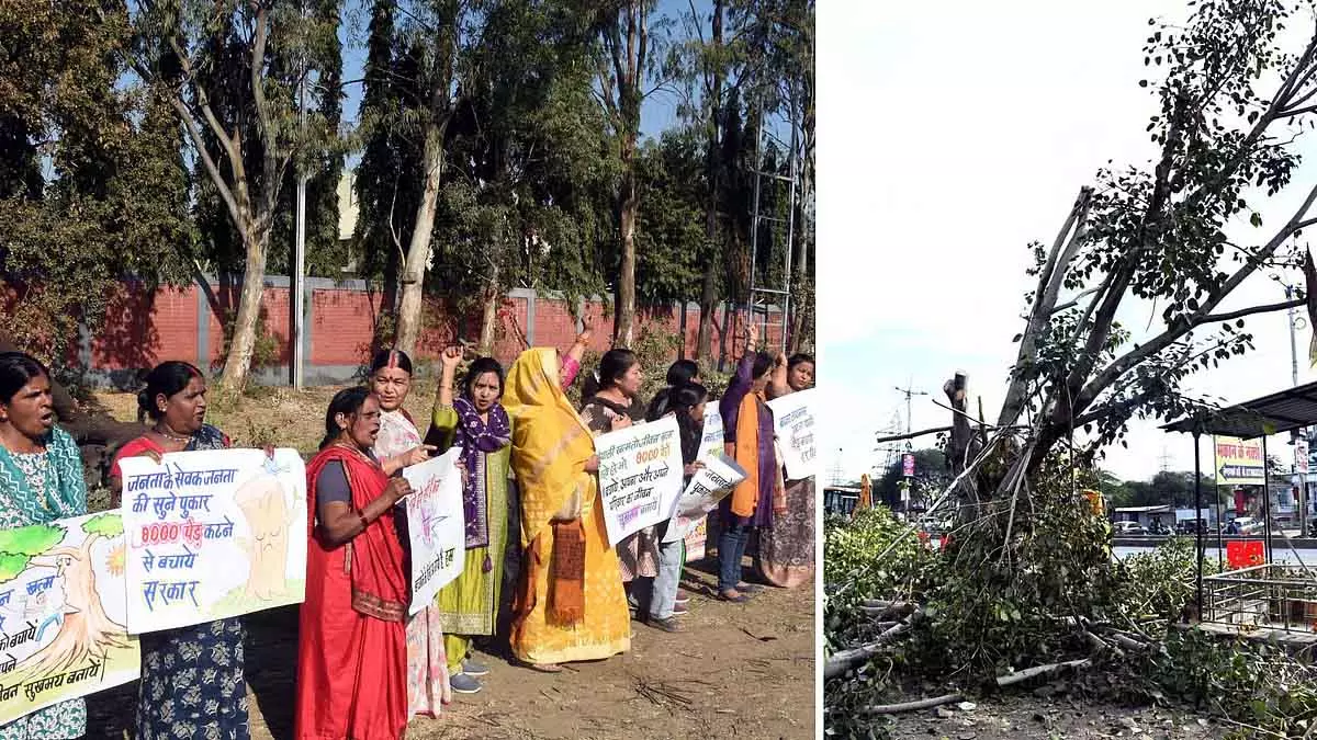 Bhopal : सड़क चौड़ीकरण की भारी कीमत चुकानी पड़ी Bhopal : सड़क चौड़ीकरण की भारी कीमत चुकानी पड़ी