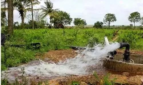 निःशुल्क बिजली से बदली खेती की तस्वीर, कृषक जीवन ज्योति योजना बनी किसानों की सबसे बड़ी ताकत निःशुल्क बिजली से बदली खेती की तस्वीर, कृषक जीवन ज्योति योजना बनी किसानों की सबसे बड़ी ताकत