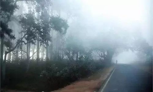 Odisha: ठंड का प्रकोप, मौसम विभाग ने कोहरे की दी चेतावनी