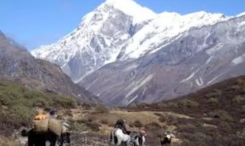 SIKKIM : पश्चिम सिक्किम में गोएचाला ट्रेल पर ट्रैकर की मौत
