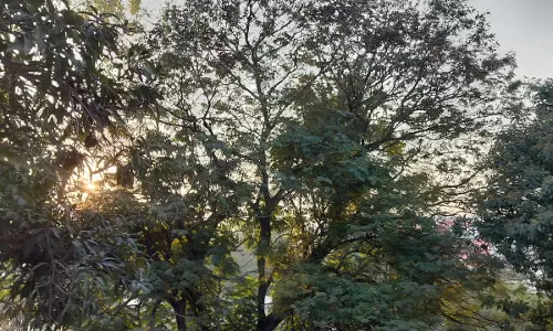 छत्तीसगढ़ : ठंड और भी बढ़ने के आसार