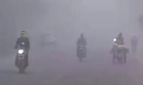 Bihar:  शीतलहर का कहर,  कई जिलों के लिए  IMD ने जारी किया अलर्ट