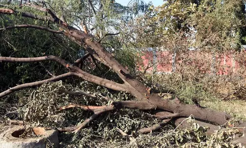 Bhopal : 600 से ज़्यादा नागरिक काम सालों से अटके हुए हैं, लेकिन पेड़ काटने की मंज़ूरी एक दिन में दे दी गई Bhopal : 600 से ज़्यादा नागरिक काम सालों से अटके हुए हैं, लेकिन पेड़ काटने की मंज़ूरी एक दिन में दे दी गई