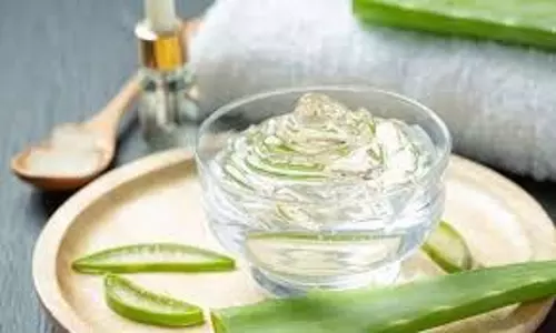 Aloe vera: जानें रात में सोने से पहले एलोवेरा जेल लगाने के फायदे Aloe vera: जानें रात में सोने से पहले एलोवेरा जेल लगाने के फायदे