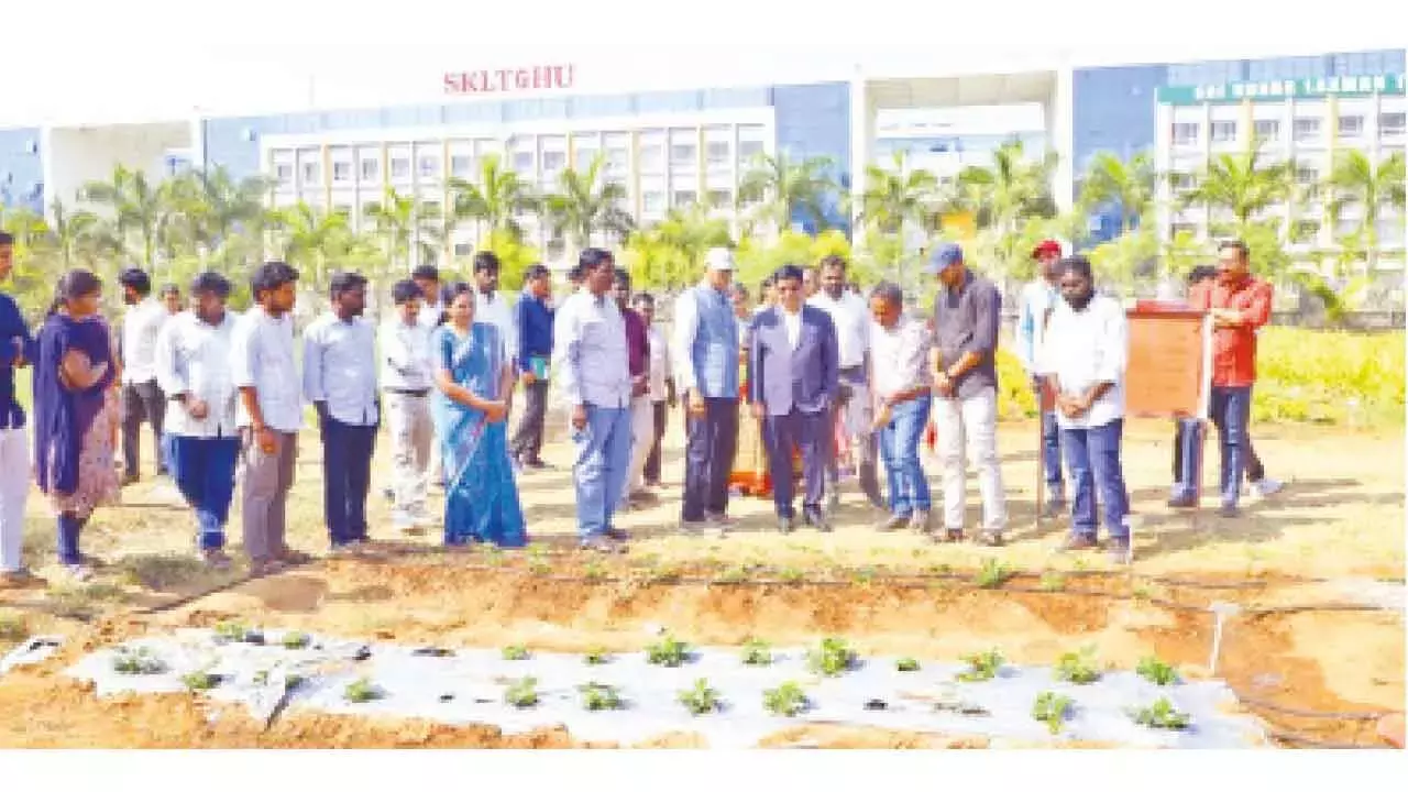 Telangana: सरकार ने 2047 तक किसानों की आय बढ़ाने के लिए महत्वाकांक्षी रोडमैप तैयार किया