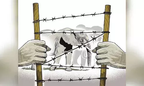 2025 में इंसान-जानवर संघर्ष बढ़ने की आशंका: State के किसान चिंतित 2025 में इंसान-जानवर संघर्ष बढ़ने की आशंका: State के किसान चिंतित