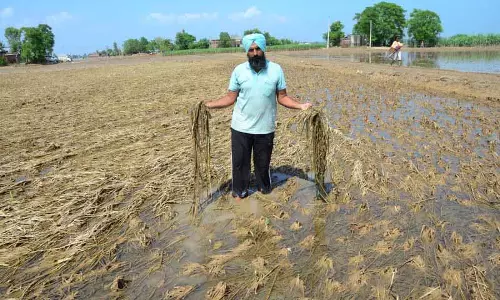 Jalandhar: साल का अंत, बाढ़ और ज़िंदा रहने की जद्दोजहद