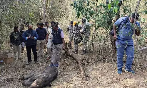 Kanakapura : एक महीने के हाथी के बच्चे की मौत Kanakapura : एक महीने के हाथी के बच्चे की मौत