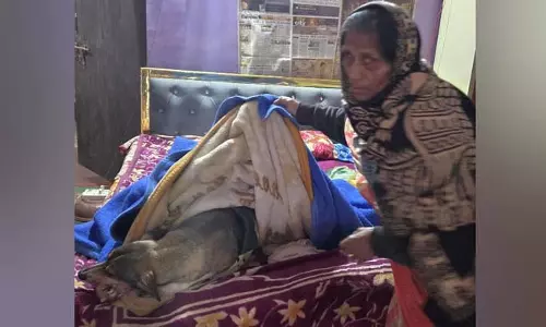 जिस पालतू डॉगी के लिए दो बहनों ने दी जान, उसने भी तोड़ा दम, परिवार सदमे में है... जिस पालतू डॉगी के लिए दो बहनों ने दी जान, उसने भी तोड़ा दम, परिवार सदमे में है...