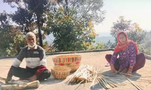 Nagrota के इस दंपति ने कांगड़ा के लुप्त होते बांस शिल्प को जीवित रखा Nagrota के इस दंपति ने कांगड़ा के लुप्त होते बांस शिल्प को जीवित रखा