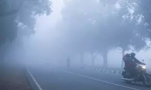 Alipurduar: कोहरे के चलते सड़क दुर्घटना, तीन की मौत