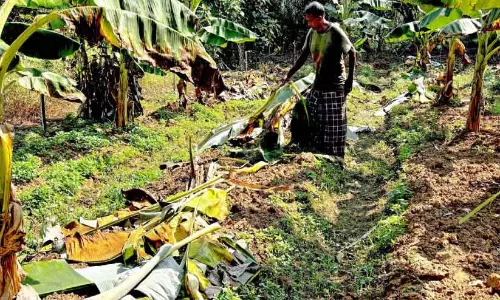 Kerala : ड्रग केस में फरार संदिग्ध छह साल बाद गिरफ्तार