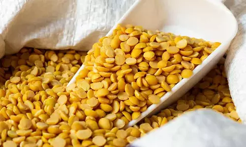 Bellary : तोगरी खरीदने के लिए सेंटर शुरू Bellary : तोगरी खरीदने के लिए सेंटर शुरू