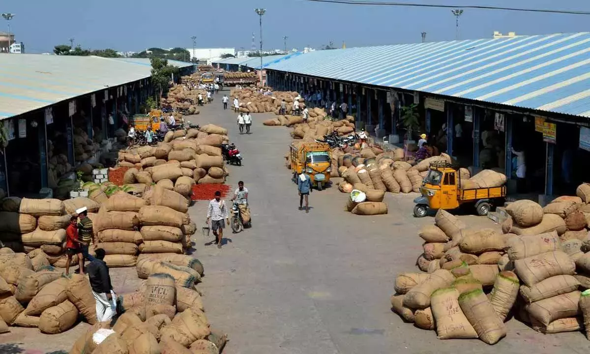 Andhra: कुर्रा को गुंटूर मिर्ची यार्ड का चेयरमैन नियुक्त किया गया