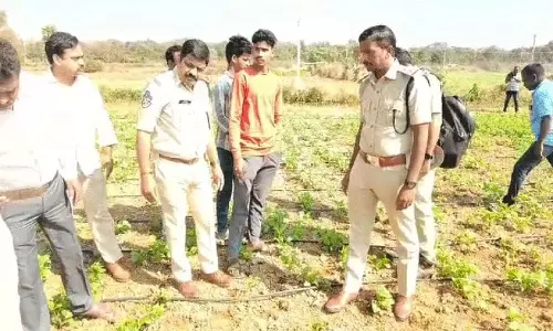 Siddipet जिले में बाघ देखा गया, वन अधिकारी ने अलर्ट जारी किया Siddipet जिले में बाघ देखा गया, वन अधिकारी ने अलर्ट जारी किया
