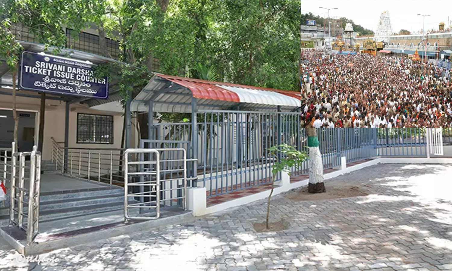Tirumala भक्तों की भीड़ के कारण श्रीवाणी के टिकट 3 दिन के लिए कैंसिल कर दिए गए Tirumala भक्तों की भीड़ के कारण श्रीवाणी के टिकट 3 दिन के लिए कैंसिल कर दिए गए