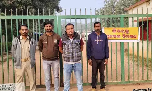 शिखरचंडी पहाड़ियों में हाथी घूमते दिखे, जनता के लिए एंट्री पर रोक शिखरचंडी पहाड़ियों में हाथी घूमते दिखे, जनता के लिए एंट्री पर रोक