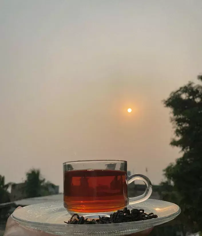 सिर्फ़ कैमेलिया साइनेंसिस ही ‘चाय’ : FSSAI का फ़ैसला क्यों मायने रखता सिर्फ़ कैमेलिया साइनेंसिस ही ‘चाय’ : FSSAI का फ़ैसला क्यों मायने रखता