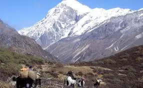 SIKKIM : पश्चिम सिक्किम में गोएचाला ट्रेल पर ट्रैकर की मौत SIKKIM : पश्चिम सिक्किम में गोएचाला ट्रेल पर ट्रैकर की मौत