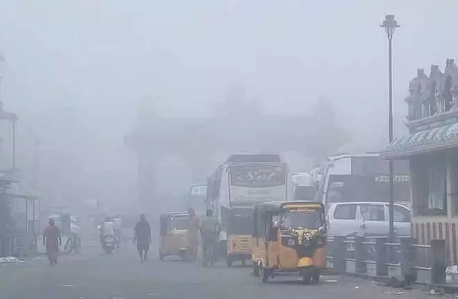 अगले दो दिनों में TN में कोहरा और तेज़ हवाएं चलने का अनुमान है अगले दो दिनों में TN में कोहरा और तेज़ हवाएं चलने का अनुमान है