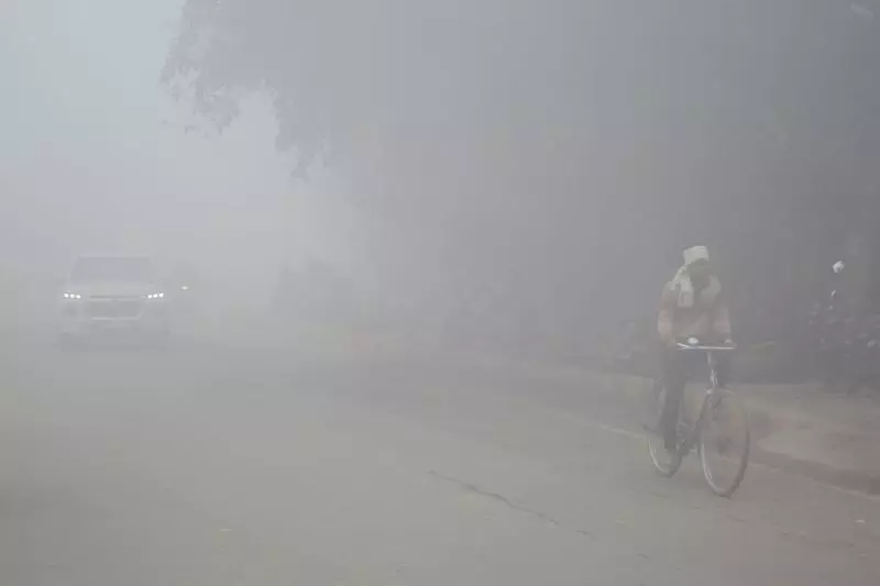 Haryana : घने कोहरे से विज़िबिलिटी कम हुई, गाड़ियों की आवाजाही में रुकावट आई Haryana : घने कोहरे से विज़िबिलिटी कम हुई, गाड़ियों की आवाजाही में रुकावट आई