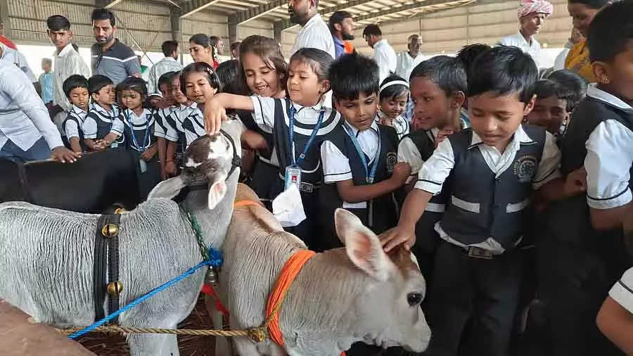 Hukkeri माथा जात्रा महोत्सव: एक ऐसा मेला जिसने किसानों को खेती-बाड़ी की जानकारी दी Hukkeri माथा जात्रा महोत्सव: एक ऐसा मेला जिसने किसानों को खेती-बाड़ी की जानकारी दी