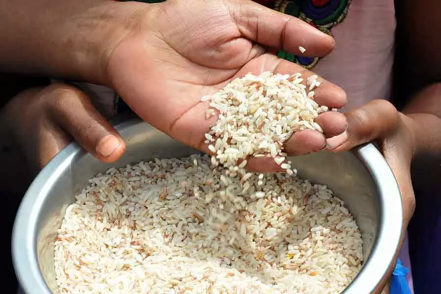 Haveri : 633 क्विंटल राशन चावल जब्त Haveri : 633 क्विंटल राशन चावल जब्त