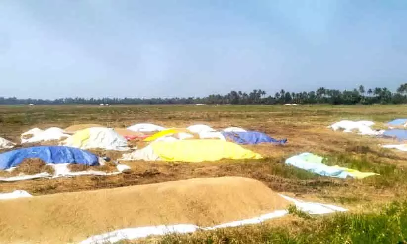 Kerala ; धान की खरीद में अनिश्चितता Kerala ; धान की खरीद में अनिश्चितता