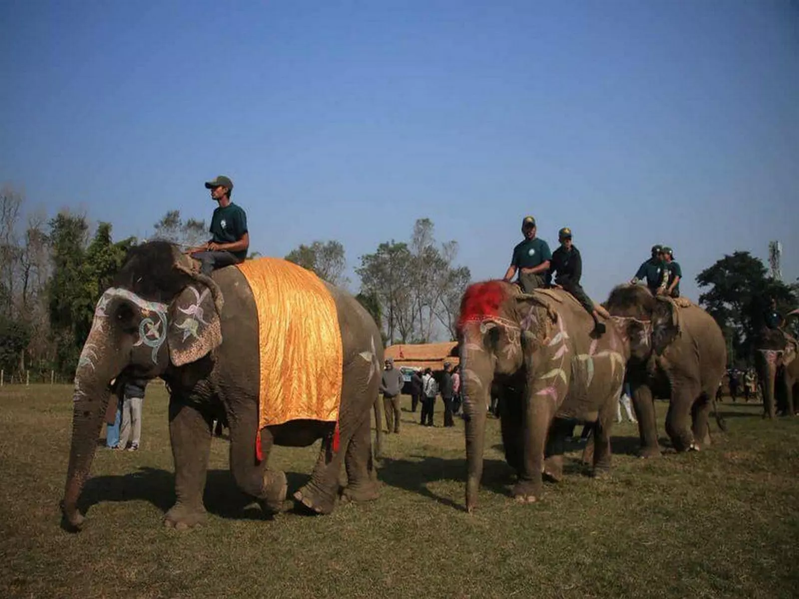 Nepal में वार्षिक विशालकाय हाथी उत्सव में हाथियों ने पेनल्टी शूटआउट प्रतियोगिता में भाग लिया Nepal में वार्षिक विशालकाय हाथी उत्सव में हाथियों ने पेनल्टी शूटआउट प्रतियोगिता में भाग लिया
