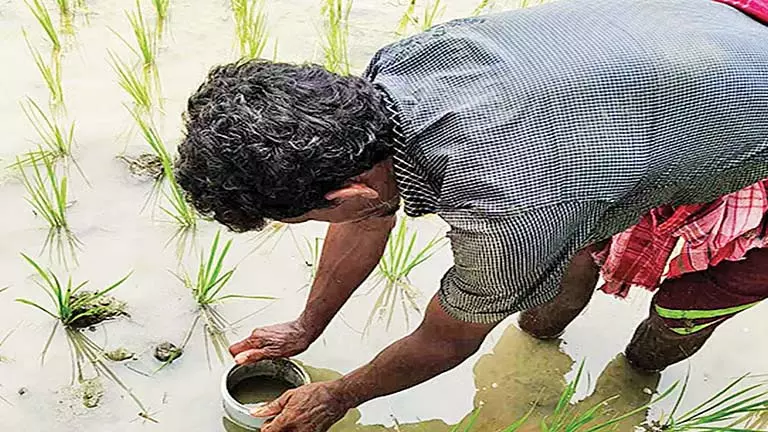 नया Project जल संरक्षण और प्रदूषण रोकथाम पर केंद्रित नया Project जल संरक्षण और प्रदूषण रोकथाम पर केंद्रित