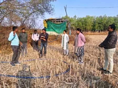 प्रतापपुर व भैयाथान क्षेत्र में फसल विविधीकरण की अवलोकन करने के लिए कलेक्टर ने किया भ्रमण प्रतापपुर व भैयाथान क्षेत्र में फसल विविधीकरण की अवलोकन करने के लिए कलेक्टर ने किया भ्रमण