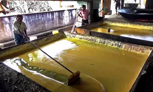 Tamil Nadu: क्या सरकार पोंगल गिफ्ट सेट के लिए गुड़ खरीदेगी? Tamil Nadu: क्या सरकार पोंगल गिफ्ट सेट के लिए गुड़ खरीदेगी?
