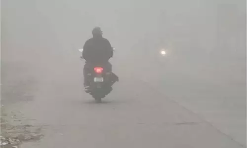 Uttarakhand Weather :कड़ाके की ठंड,  जानें मौसम का  हाल
