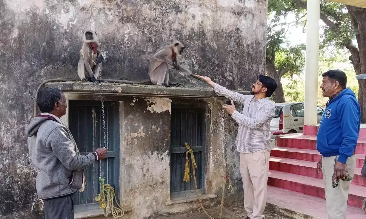 Telangana: कार्यकर्ताओं ने जगतियाल में लंगूर तस्कर की गिरफ्तारी की मांग की