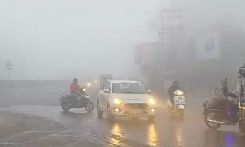 Punjab , हरियाणा में कड़ाके की ठंड हिसार 2.5°C के साथ सबसे ठंडा Punjab , हरियाणा में कड़ाके की ठंड हिसार 2.5°C के साथ सबसे ठंडा