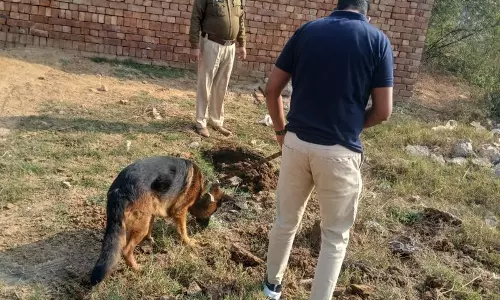 Haryana : हांसी में 117 ड्रग तस्कर पकड़े गए, 10 लाख रुपये से ज़्यादा की प्रॉपर्टी ज़ब्त Haryana : हांसी में 117 ड्रग तस्कर पकड़े गए, 10 लाख रुपये से ज़्यादा की प्रॉपर्टी ज़ब्त