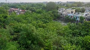 Pune वन विभाग नए साल के जश्न से पहले पहाड़ियों पर निगरानी बढ़ाएगा