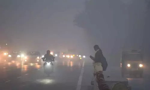 MP : तापमान 10°C से नीचे जाने से ठंड का असर, घने कोहरे से ट्रांसपोर्ट में रुकावट