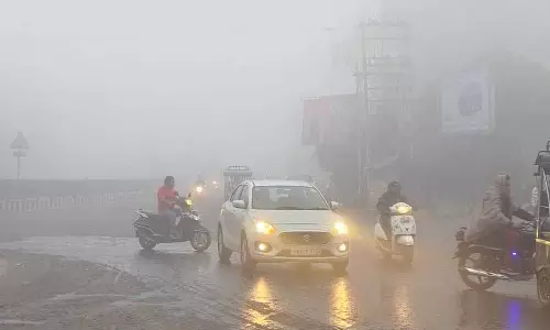 Punjab, हरियाणा में कड़ाके की ठंड, हिसार 2.5°C के साथ सबसे ठंडा Punjab, हरियाणा में कड़ाके की ठंड, हिसार 2.5°C के साथ सबसे ठंडा