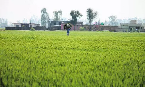 Haryana किसानों को यूनिक आईडी क्यों जारी कर रहा है Haryana किसानों को यूनिक आईडी क्यों जारी कर रहा है