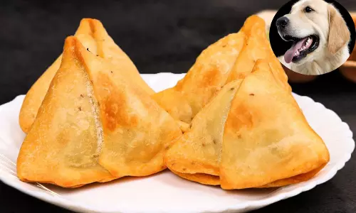 कुत्ते को समोसा खिलाने निकला मालिक, नाश्ता सेंटर में कटा बवाल