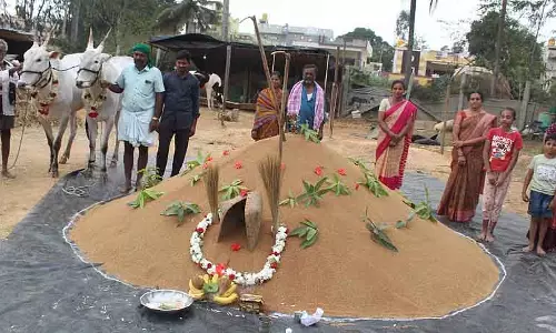 Anekal : बंजर ज़मीन में बाजरे की भरपूर फसल