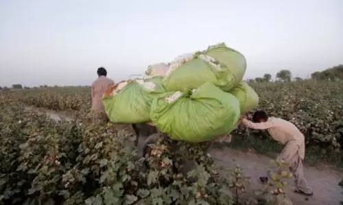 कपास उद्योग बंद, पाकिस्तान की निर्यात अर्थव्यवस्था पर खतरा कपास उद्योग बंद, पाकिस्तान की निर्यात अर्थव्यवस्था पर खतरा
