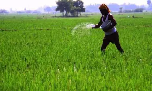 Odisha को डिजिटल फसल सर्वेक्षण और रजिस्ट्री के लिए केंद्र से 155 करोड़ रुपये की राशि मिलेगी