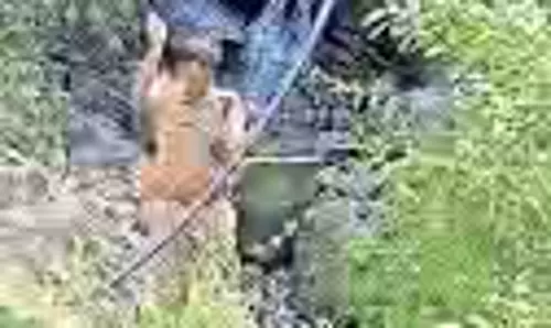 Malappuram घाट सफाई अभियान: जल स्रोतों की सुरक्षा हेतु वाहन धोने पर रोक