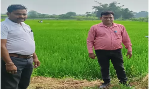 वैज्ञानिक खेती से भूखनलाल सोंचे की आर्थिक स्थिति में आया बड़ा सुधार