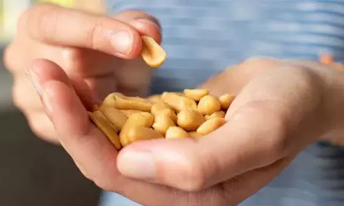 दिमाग के लिए Food, याददाश्त बढ़ाने और एक्टिव रहने के लिए रोज़ाना खाएं ये चीज़ें