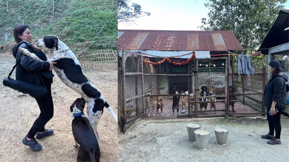 Mizoram एनिमल रेस्क्यू शेल्टर आम लोगों के लिए खुला, एक दिन दिवंगत पत्रकार को समर्पित Mizoram एनिमल रेस्क्यू शेल्टर आम लोगों के लिए खुला, एक दिन दिवंगत पत्रकार को समर्पित