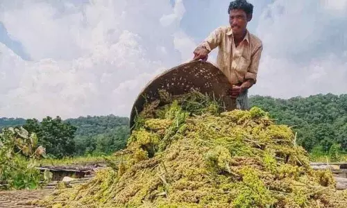 तेलंगाना में किसानों की आत्महत्या में बढ़ोतरी देखी गई: Rythu Swarajya Vedika तेलंगाना में किसानों की आत्महत्या में बढ़ोतरी देखी गई: Rythu Swarajya Vedika