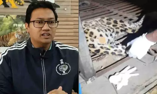 छत्तीसगढ़-ओडिशा सीमा के पास शिकारी के जाल से तेंदुए को बचाया गया छत्तीसगढ़-ओडिशा सीमा के पास शिकारी के जाल से तेंदुए को बचाया गया